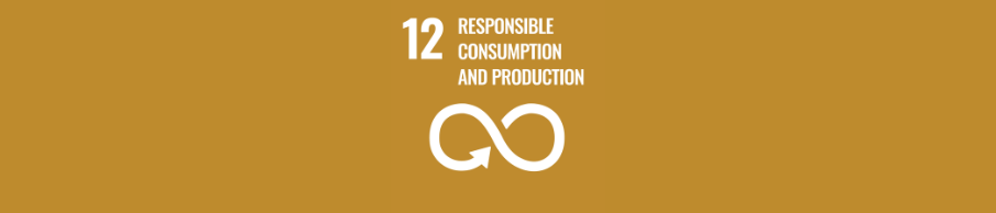 Responsible Consumption and production