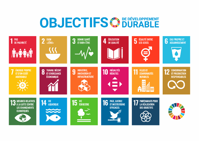 Objectifs de développement durable des Nations Unies